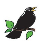 Susanne  Pedersen-Boman